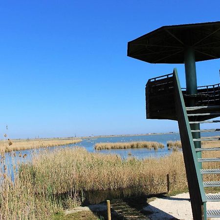 Quet - Casa Rural Con Piscina Privada En El Delta Del Ebro - Deltavacaciones Далтебра Екстер'єр фото
