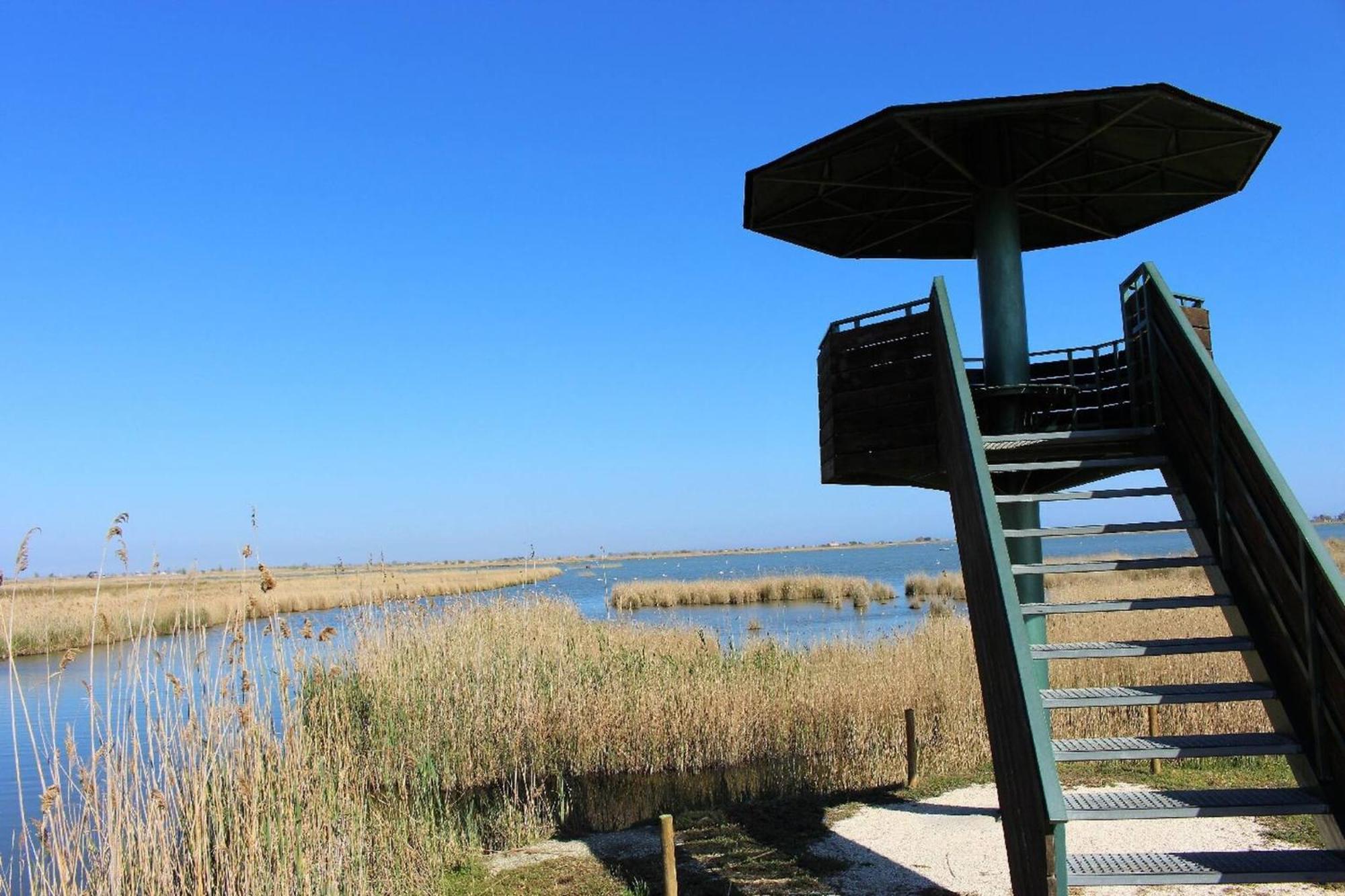 Quet - Casa Rural Con Piscina Privada En El Delta Del Ebro - Deltavacaciones Далтебра Екстер'єр фото